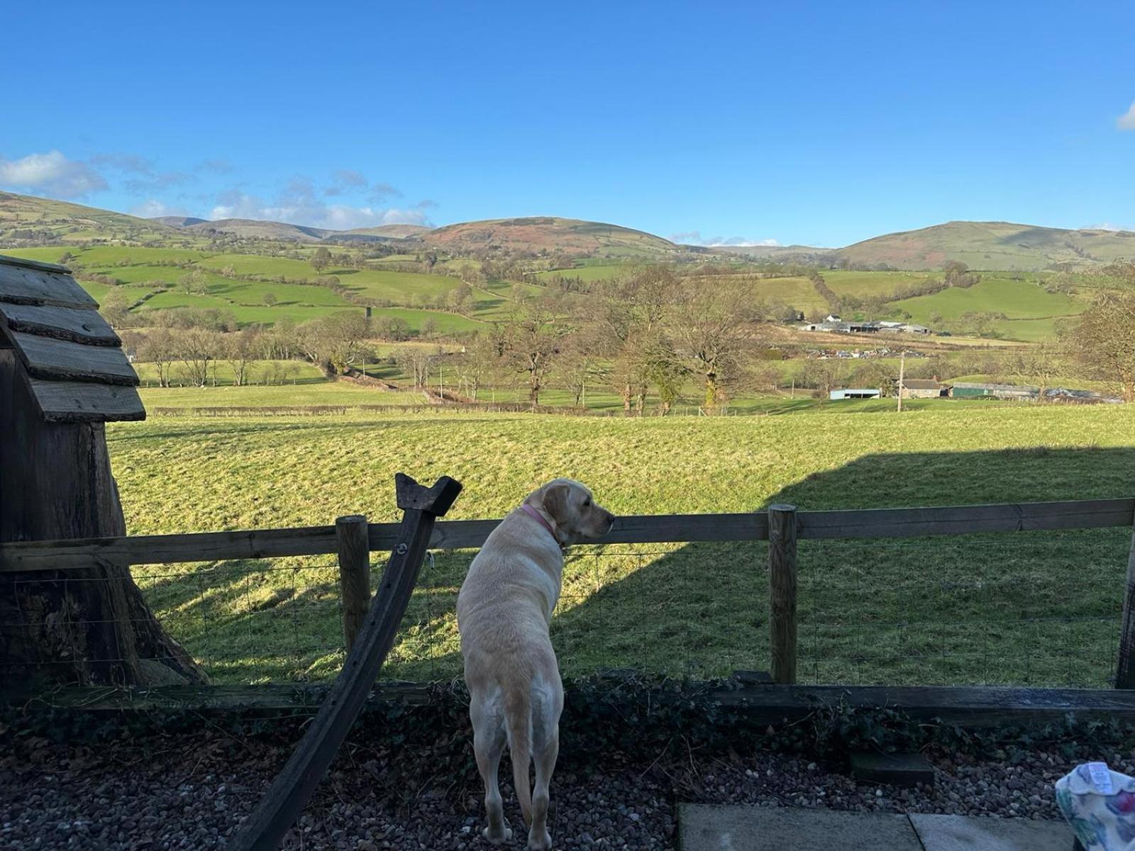 The Retreat Holiday home Llanrhaeadr-ym-Mochnant